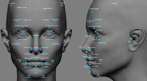 Facial Expression Recognition