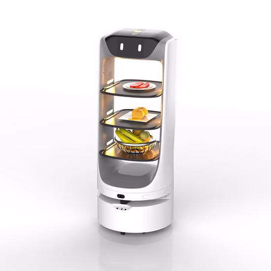 Autonomous Catering Robot
